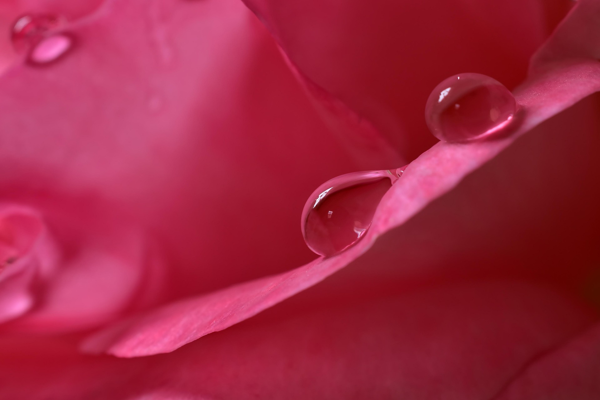 Wassertropfen als ruhiges Motiv für das Fasten-Seminar Rosenhof